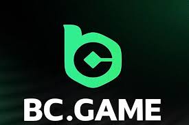 Understanding BC CO A Comprehensive Guide